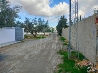 Terrain de 500 m² à vendre Hammamet Sud à 135 MD 