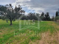 Terrain de 5042 m² à vendre à Hammamet Sud 