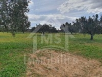 Terrain de 5042 m² à vendre à Hammamet Sud 