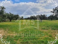 Terrain de 5042 m² à vendre à Hammamet Sud 