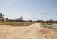 Terrain de 505 m² à vendre à 300 MD à Hammamet Sud