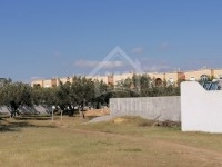 Terrain de 555 m² à vendre à Hammamet Sud à 555 MD
