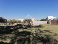 Terrain de 555 m² à vendre à Hammamet Sud à 555 MD