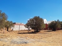 Terrain de 557 m² à vendre à 90 MD à Hammamet Sud 