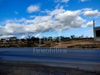 Terrain de 900 m² à vendre à 250 MD à Hammamet Sud