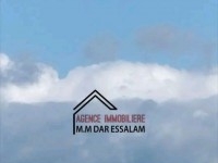 terrain deuxième position de la mer