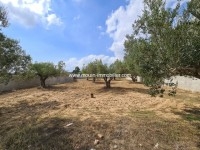 Terrain Dina T877 Hammamet 