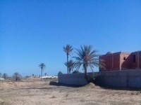 TERRAIN DJERBA 