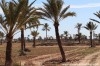 Terrain Djerba ref T302 