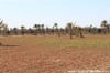 Terrain Djerba ref T302 
