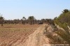 Terrain Djerba ref T302 