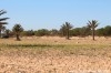 Terrain Djerba T302