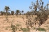 Terrain Djerba T302