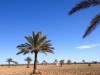 Terrain Djerba T302