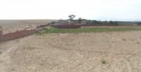 Terrain d'un hectar résidentiel titré à tajerouine