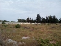 Terrain Emna T668 Soukra