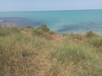 Terrain Gammarth supérieur