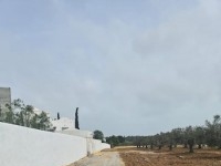 TERRAIN GINO à Hammamet T1017