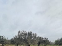 Terrain Gino T1017 Hammamet 