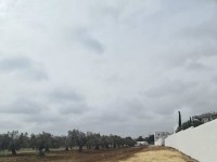 Terrain Gino T1017 Hammamet 