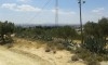 terrain Hammamet wed enahal CS-558ed0