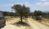 terrain Hammamet wed enahal CS-558ed0
