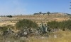terrain Hammamet wed enahal CS-558ed0