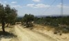 terrain Hammamet wed enahal CS-558ed0