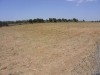 Terrain hammamet yesmine