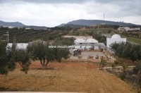 Terrain Jihen T334 Hammamet 