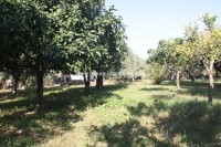 TERRAIN JINEN BENI KHIAR Beni Khiar T791