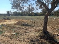 Terrain KM71 Hammamet Sud