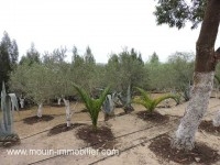 TERRAIN LA DEMEURE Hammamet - Zone Craxi T739