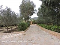TERRAIN LA DEMEURE Hammamet - Zone Craxi T739