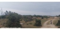 TERRAIN LAMISE Jinen Beni Khiar T1028