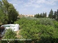 TERRAIN LARA 2 Sidi Hammed T841