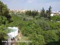 TERRAIN LARA 2 Sidi Hammed T841
