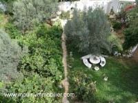 TERRAIN LARA 2 Sidi Hammed T841