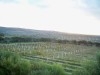TERRAIN LATRACH - Latrach t010
