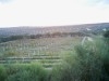 TERRAIN LATRACH - Latrach t010
