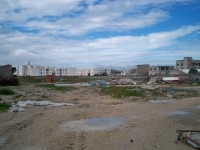 Terrain Le palmier T604