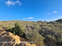 TERRAIN LEOPARD à Nabeul Dar Chaaben T1065