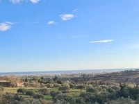 TERRAIN LEOPARD à Nabeul Dar Chaaben T1065