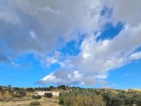 TERRAIN LEOPARD à Nabeul Dar Chaaben T1065
