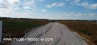 TERRAIN LINE AV à Hammamet Sud Douikhla T1088