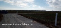 TERRAIN LINE AV à Hammamet Sud Douikhla T1088