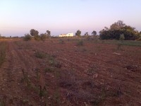 Terrain Maamoura T798 Maamoura