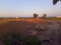Terrain Maamoura T798 Maamoura