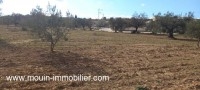 TERRAIN MOEZ Sidi Mtir T1011
