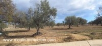 TERRAIN MOEZ Sidi Mtir T1011